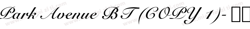 Park Avenue BT (COPY 1)字体转换